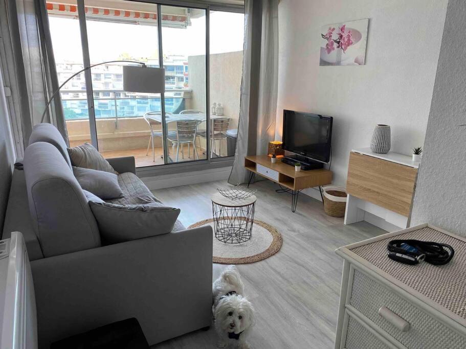 Joli Studio Vue Mer Et Port Могио Экстерьер фото